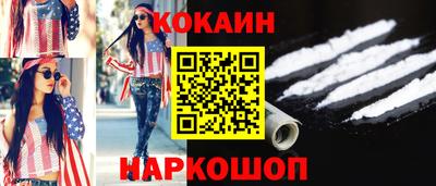 гашик Майкоп