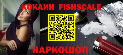 гашик Майкоп