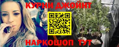 молекула духа Михайловск