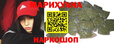 гашик Майкоп