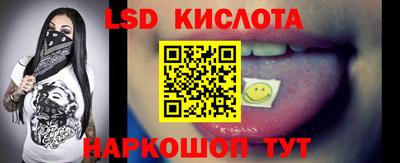 гашик Майкоп