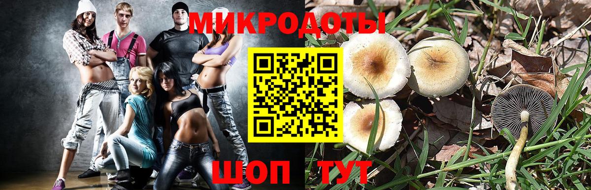 наркота  Галлюциногенные грибы прущие грибы  Вход с VPN  Борисоглебск 