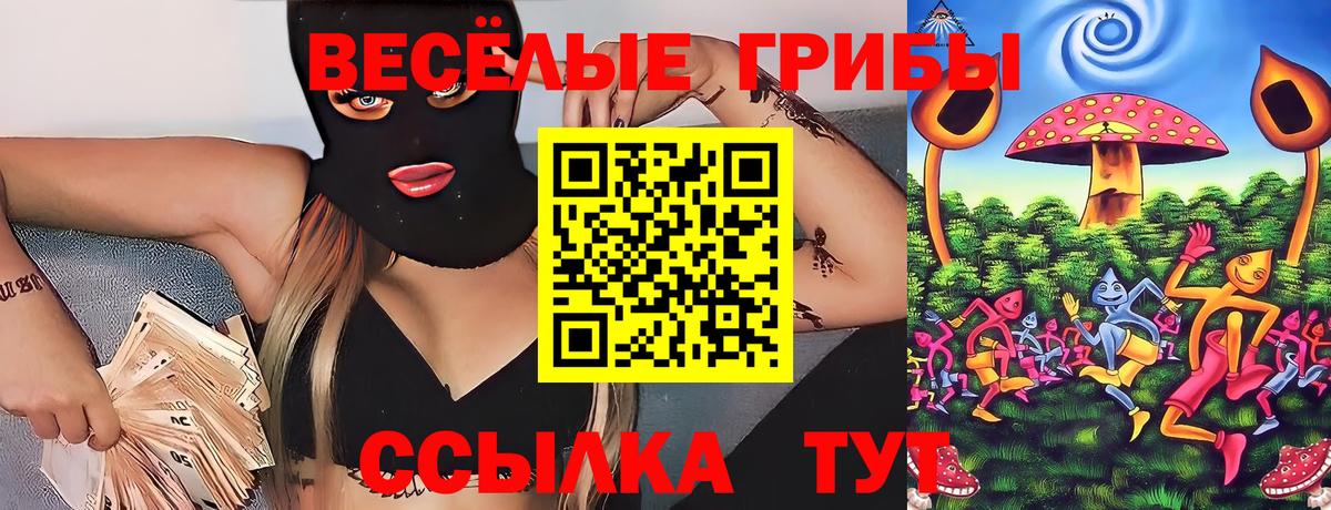 Галлюциногенные грибы Psilocybe Борисоглебск